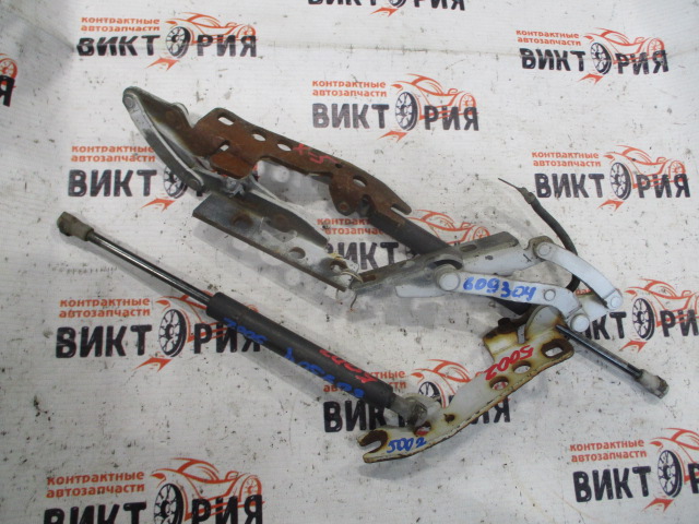Шарнир капота
 BMW
 BMW X5
 2004 г.в.,
                                кузов: E53; 